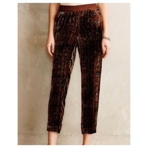 Velvet printed joggers